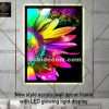 (Sobi Decorz 903) - Image 2